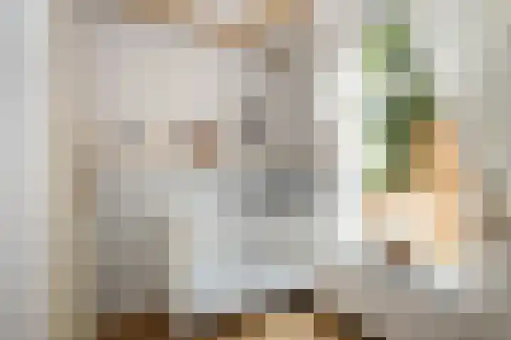 Achterstraat 16 Lekkerkerk thumbnail 12
