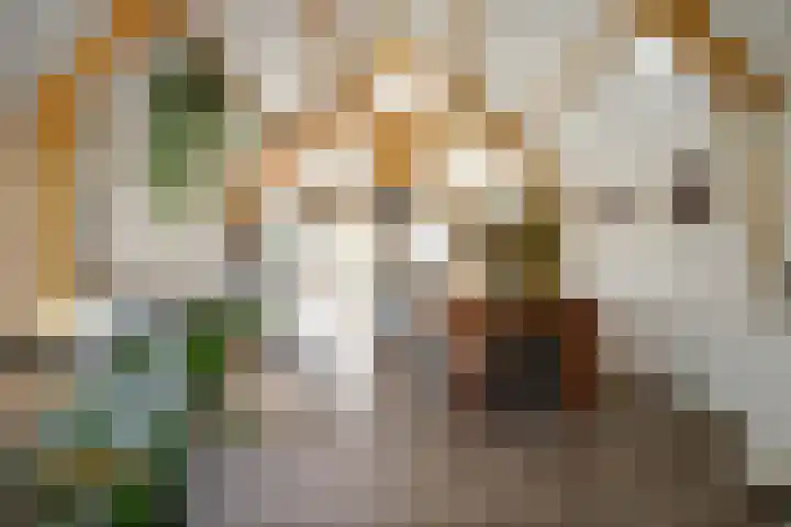 Achterstraat 16 Lekkerkerk thumbnail 16
