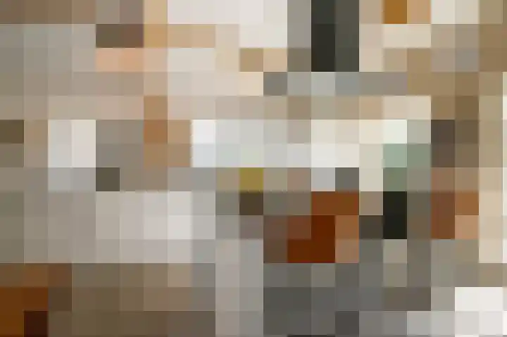 Achterstraat 16 Lekkerkerk thumbnail 18