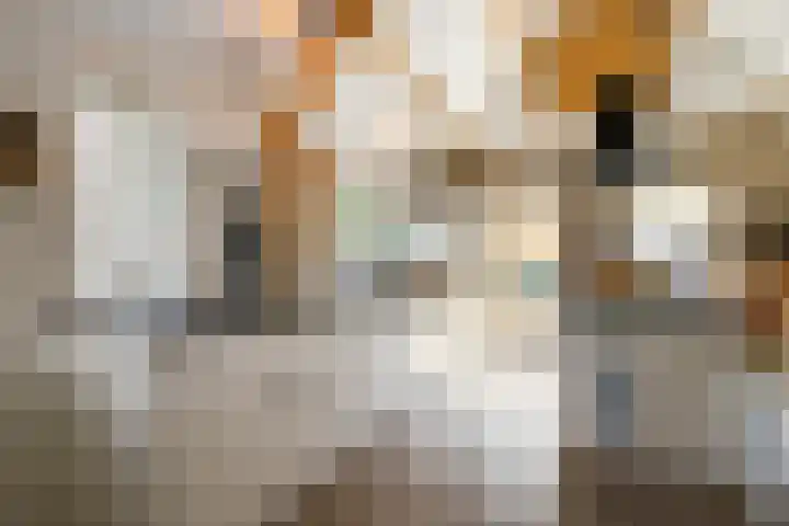 Achterstraat 16 Lekkerkerk thumbnail 19