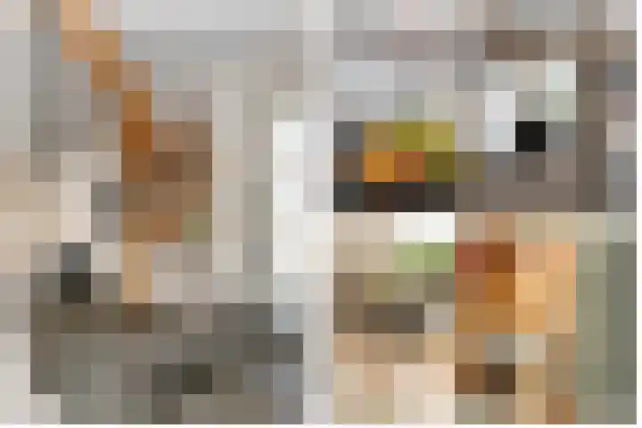 Achterstraat 16 Lekkerkerk thumbnail 20