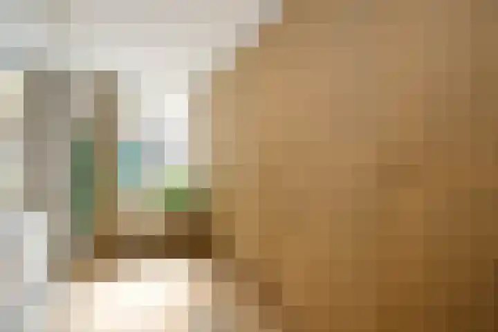 Achterstraat 16 Lekkerkerk thumbnail 7
