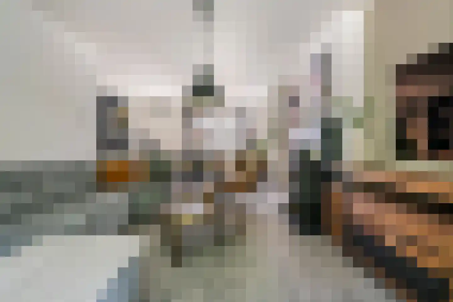 Achterstraat 16 Zoelen thumbnail 10