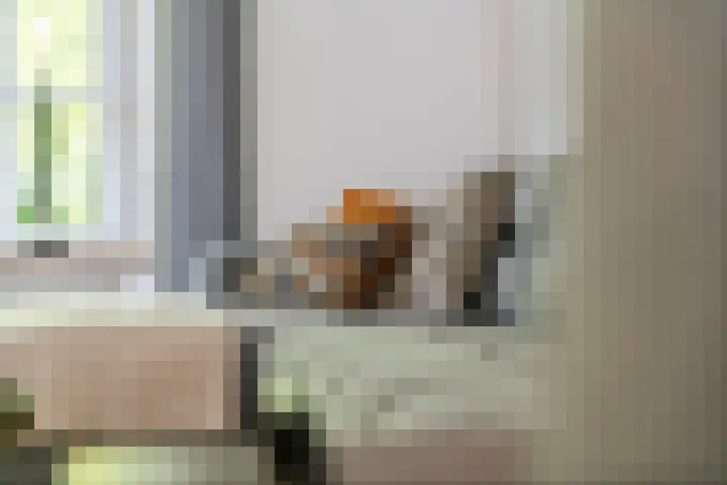 Achterstraat 16 Zoelen thumbnail 12