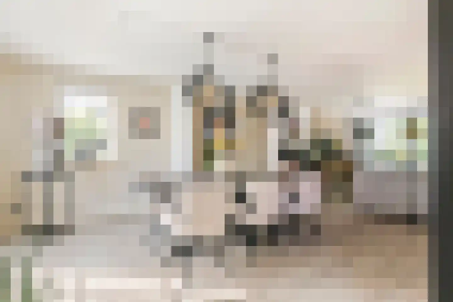 Achterstraat 16 Zoelen thumbnail 13