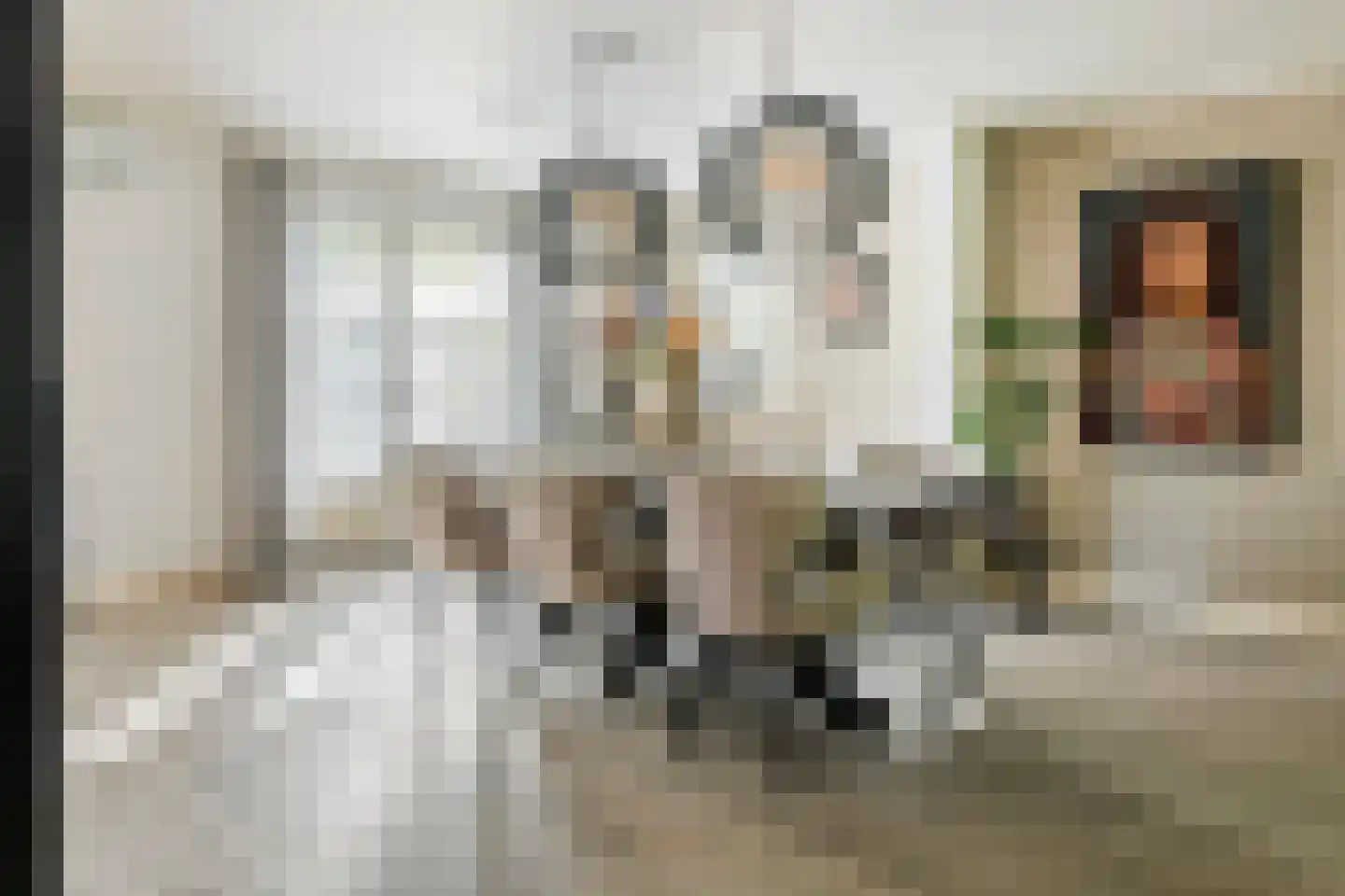 Achterstraat 16 Zoelen thumbnail 14