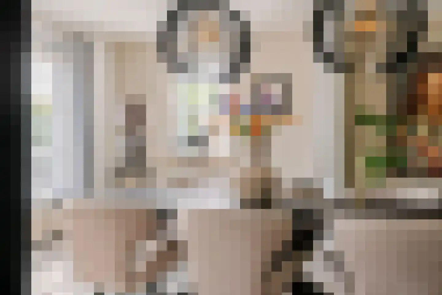 Achterstraat 16 Zoelen thumbnail 15