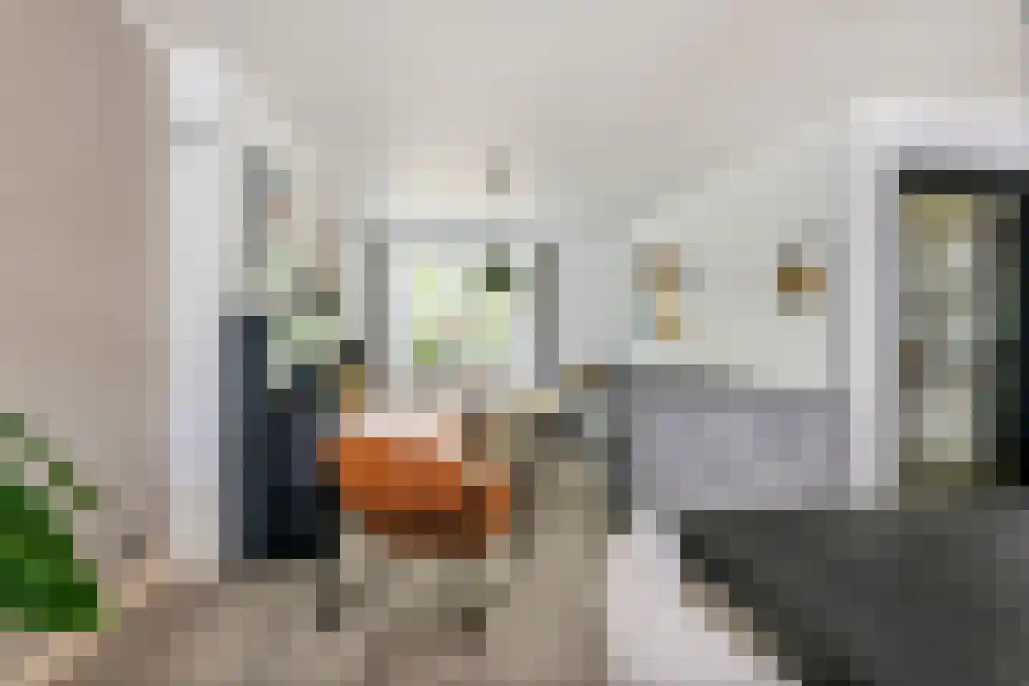 Achterstraat 16 Zoelen thumbnail 16