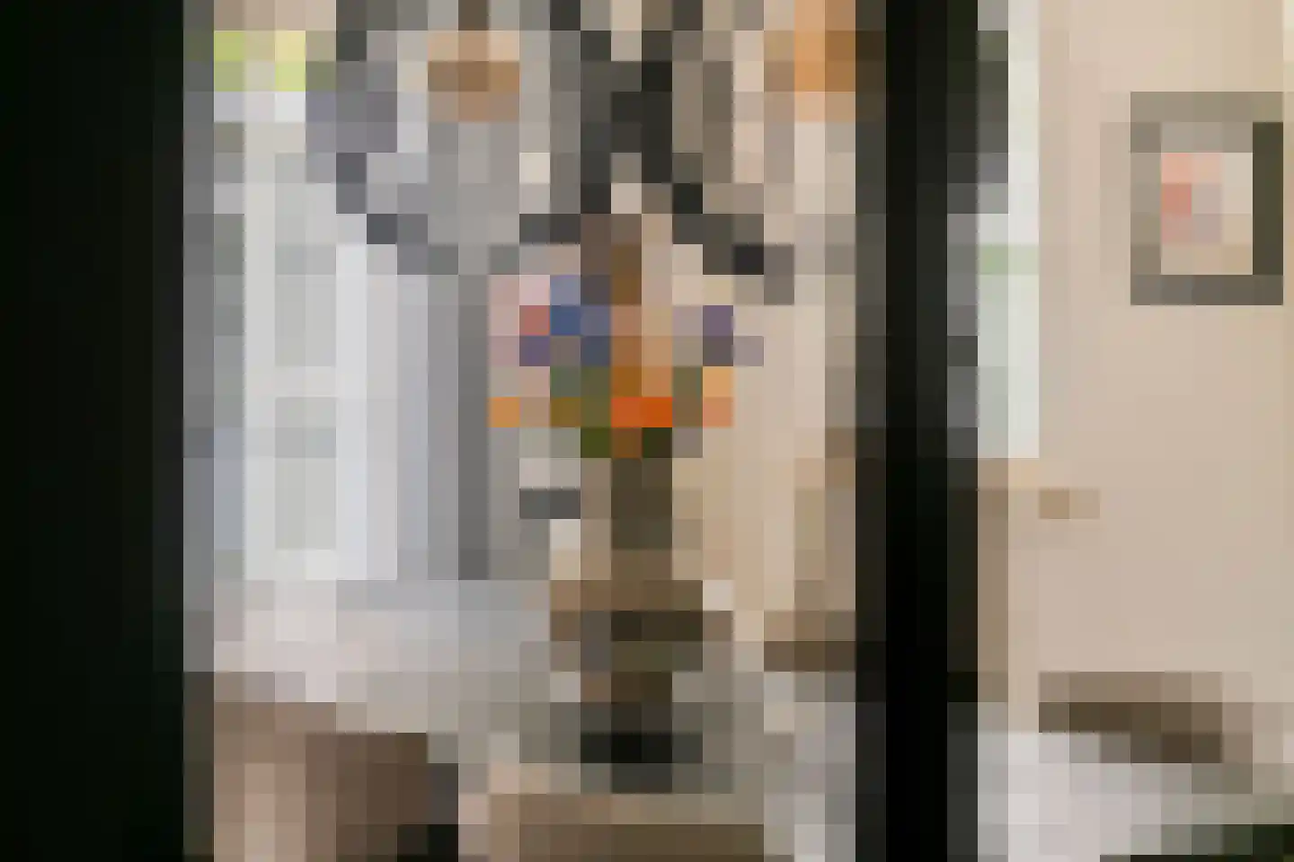 Achterstraat 16 Zoelen thumbnail 17