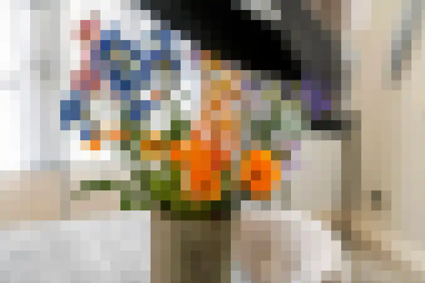 Achterstraat 16 Zoelen thumbnail 18