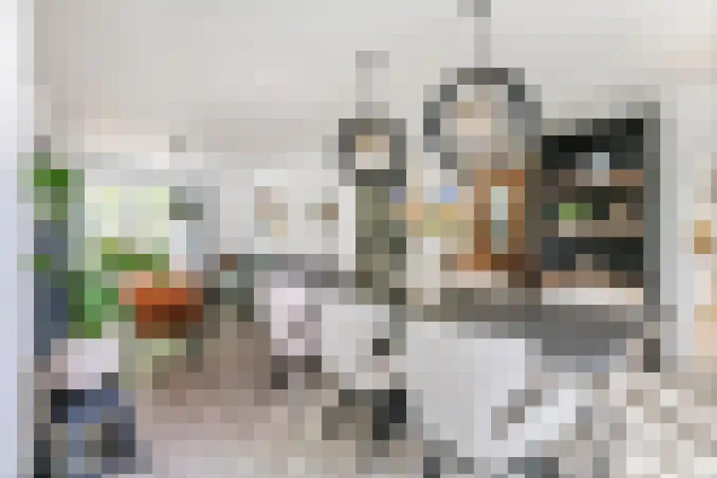 Achterstraat 16 Zoelen thumbnail 19