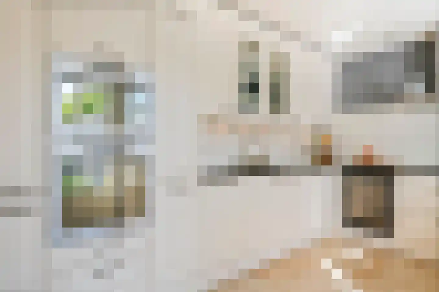 Achterstraat 16 Zoelen thumbnail 21