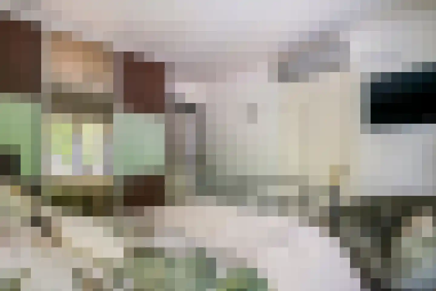 Achterstraat 16 Zoelen thumbnail 25