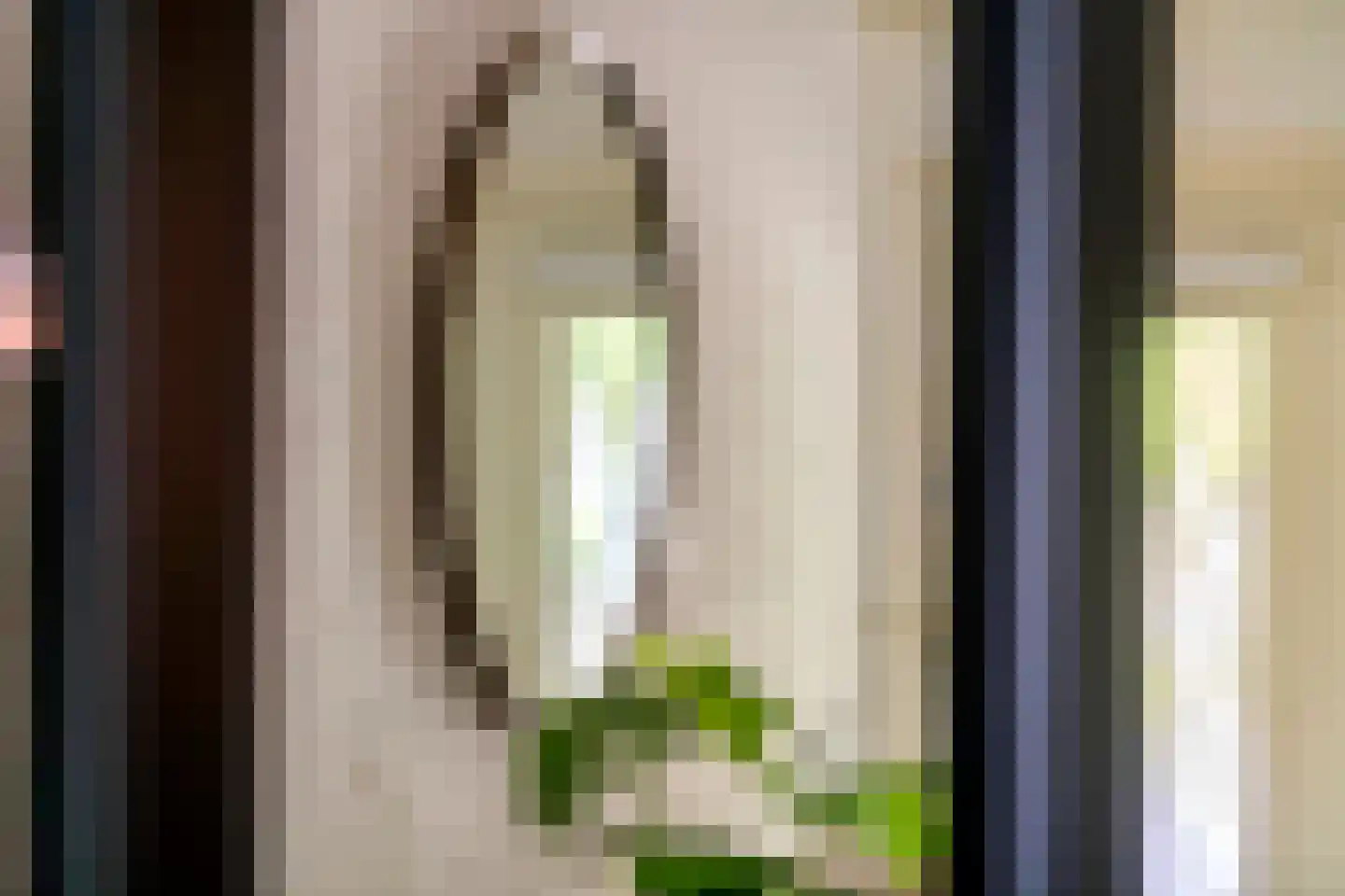 Achterstraat 16 Zoelen thumbnail 28