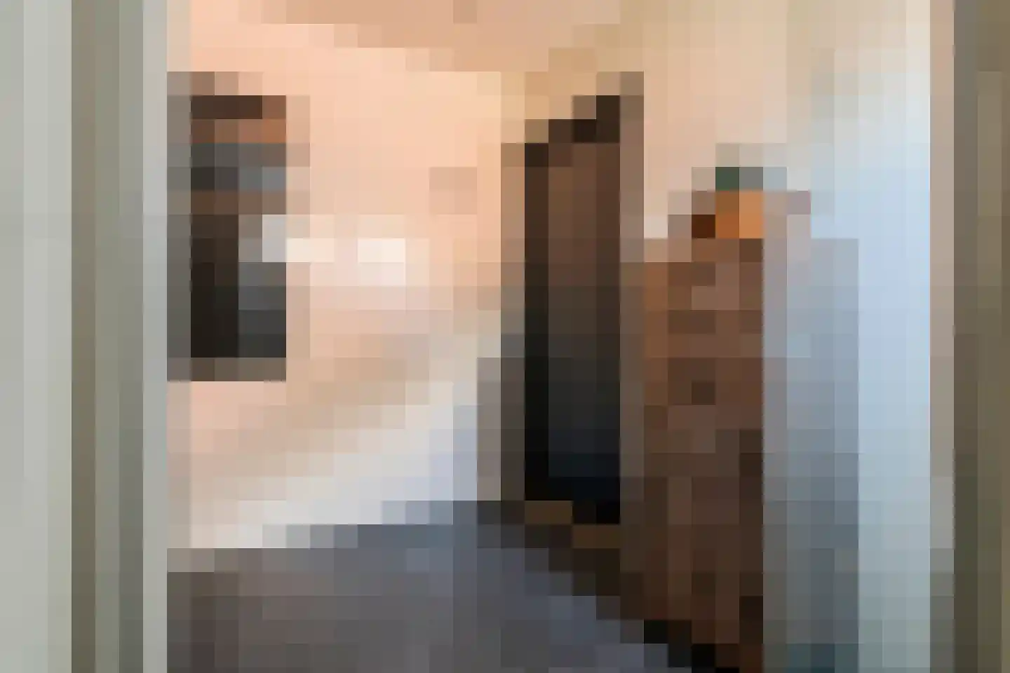 Achterstraat 16 Zoelen thumbnail 30