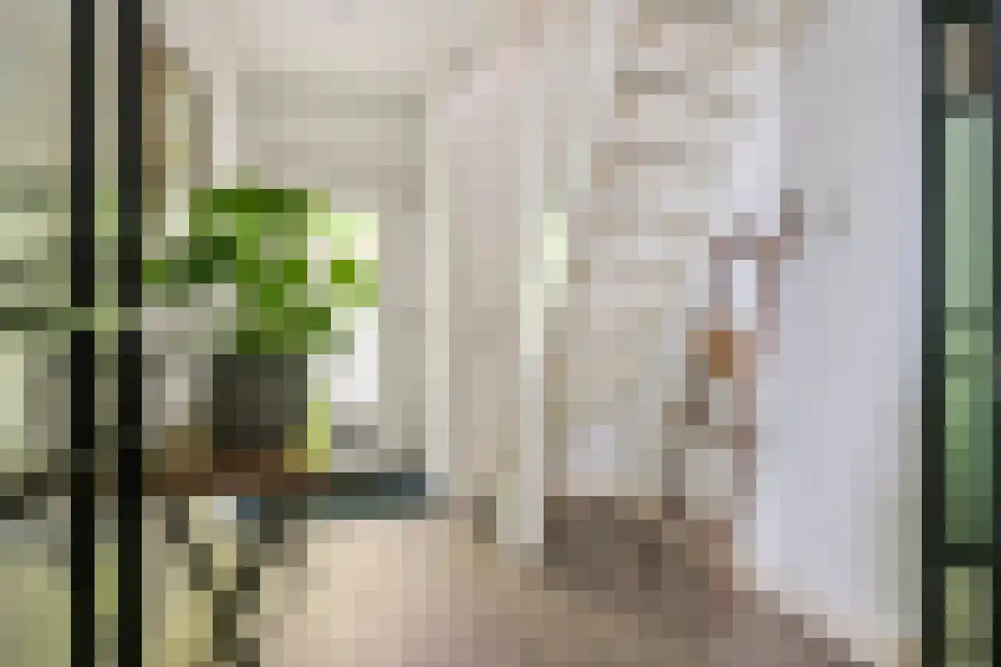 Achterstraat 16 Zoelen thumbnail 39