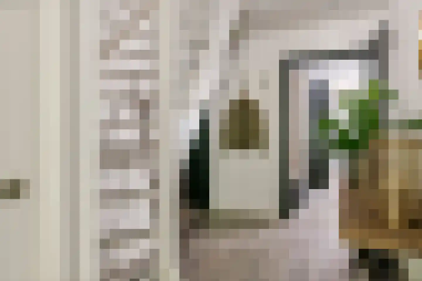 Achterstraat 16 Zoelen thumbnail 40
