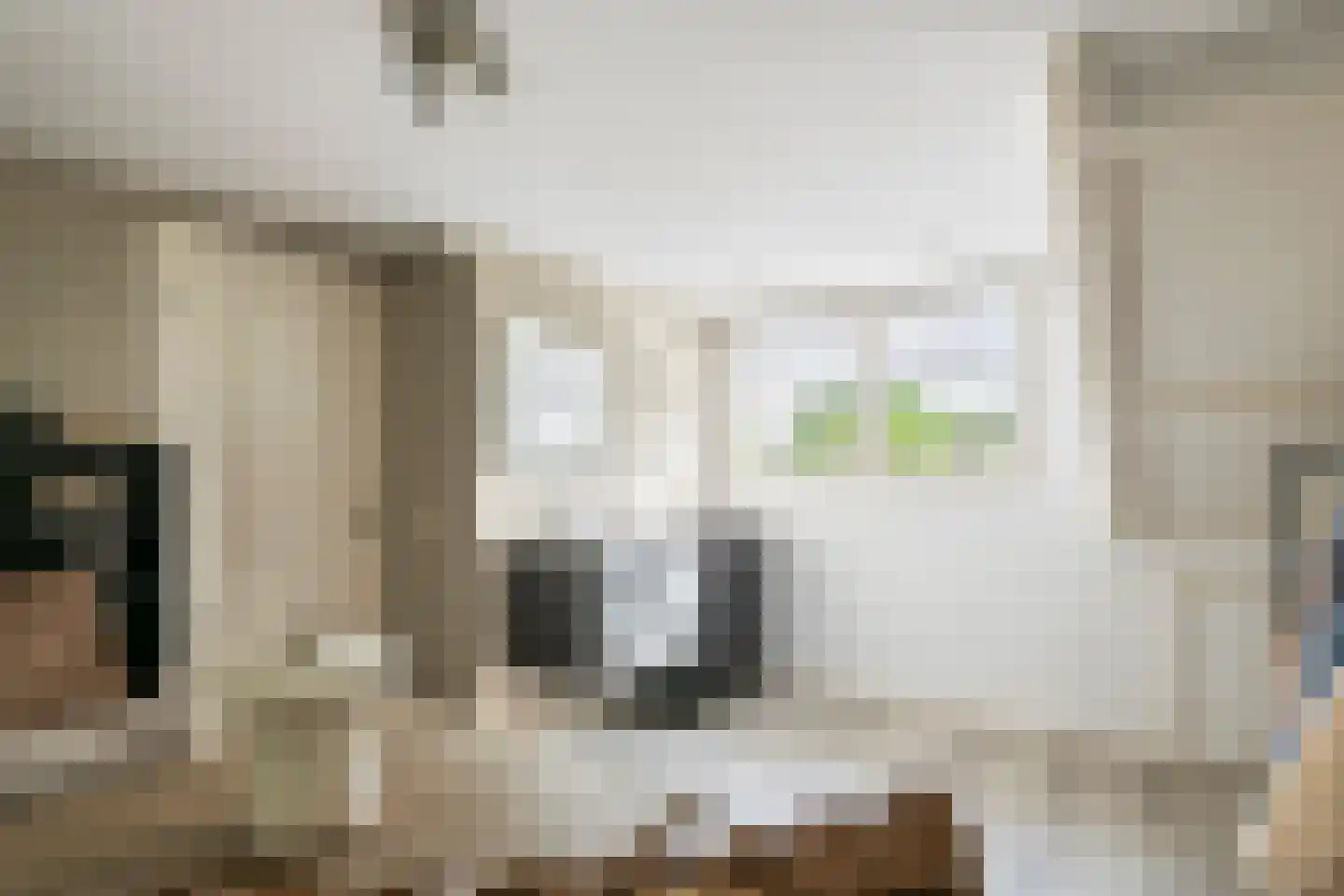 Achterstraat 16 Zoelen thumbnail 41