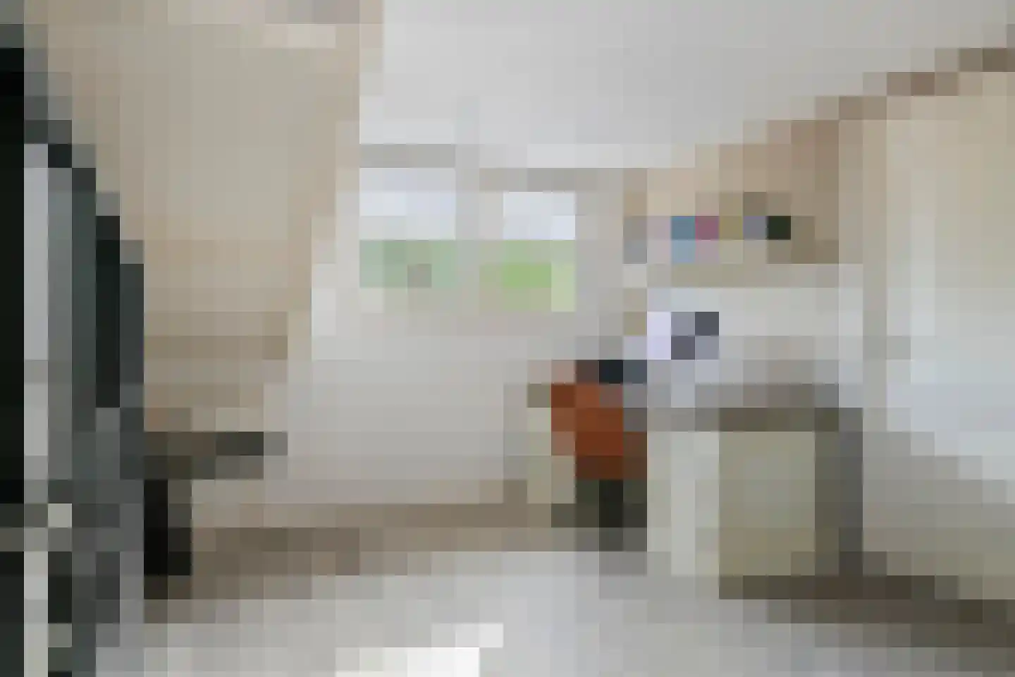 Achterstraat 16 Zoelen thumbnail 45