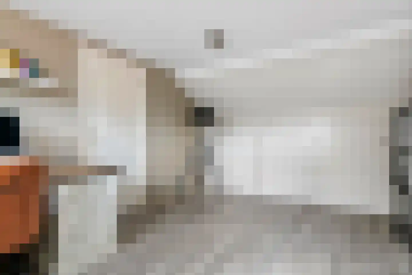 Achterstraat 16 Zoelen thumbnail 47