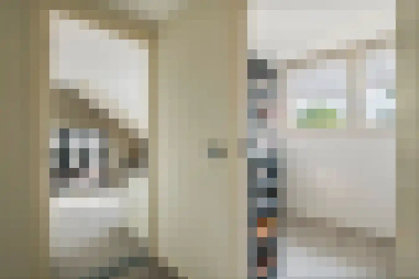 Achterstraat 16 Zoelen thumbnail 48