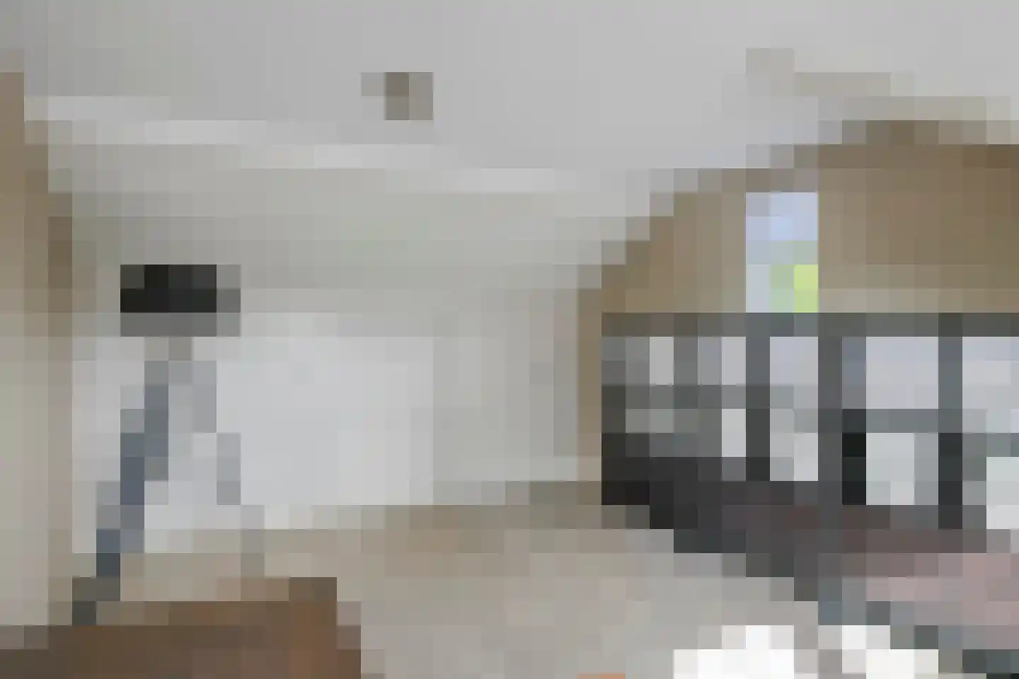 Achterstraat 16 Zoelen thumbnail 50