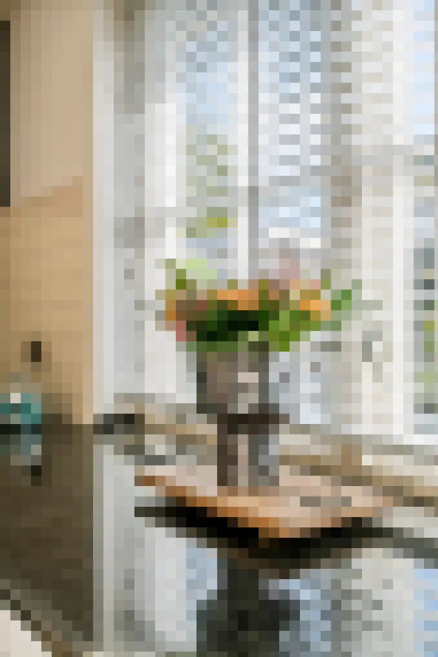 Achterstraat 16 Zoelen thumbnail 52