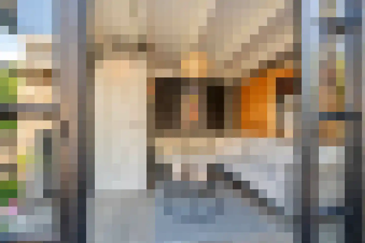 Achterstraat 16 Zoelen thumbnail 57