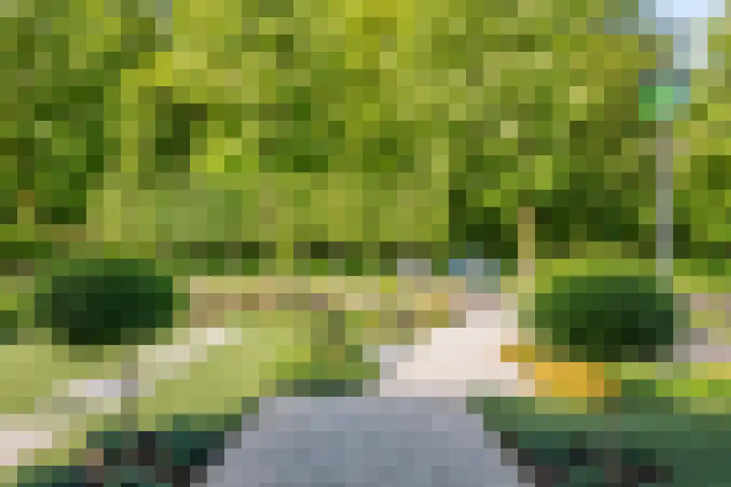 Achterstraat 16 Zoelen thumbnail 63