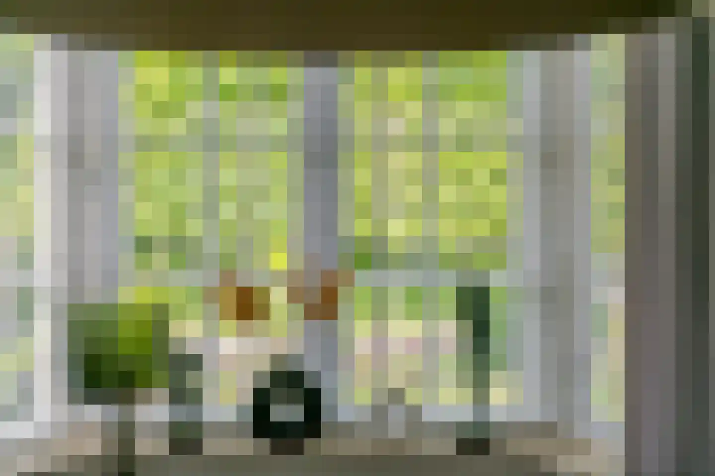 Achterstraat 16 Zoelen thumbnail 7