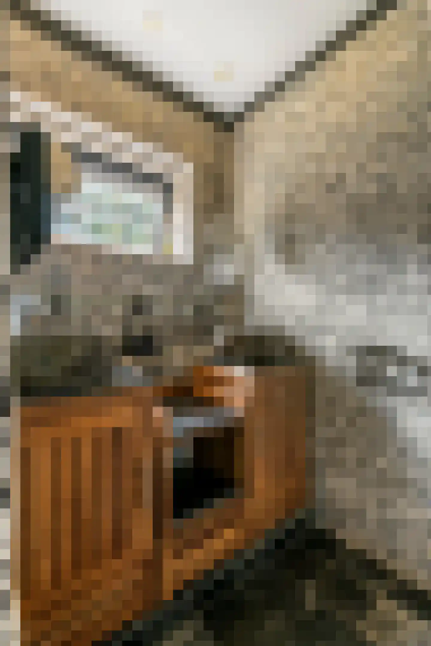 Achterstraat 19 Asch thumbnail 27