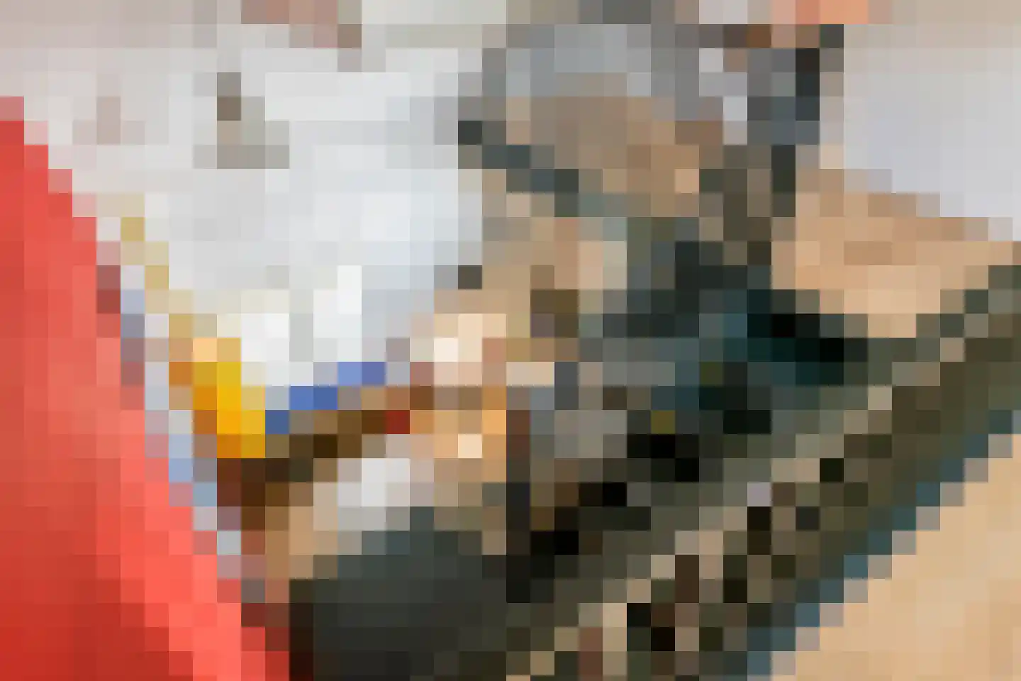 Achterstraat 19 Asch thumbnail 28