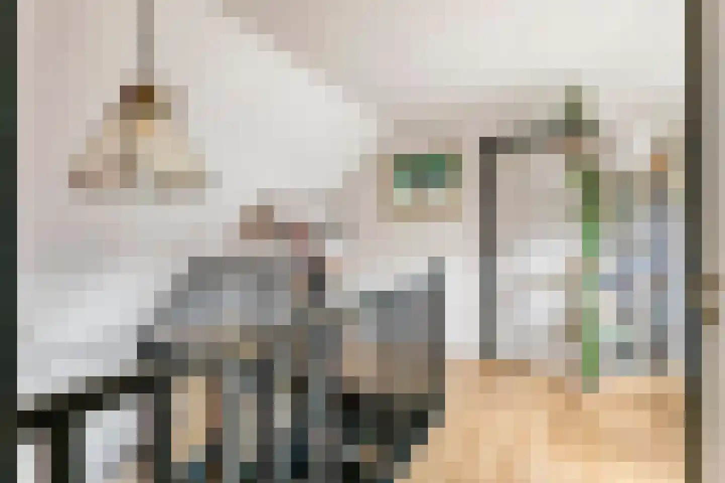 Achterstraat 19 Asch thumbnail 30