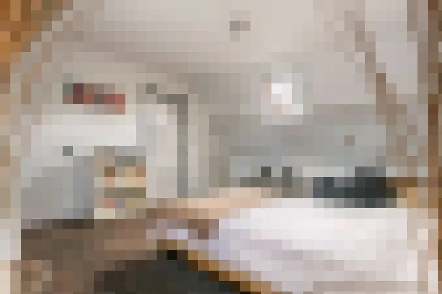 Achterstraat 19 Asch thumbnail 33