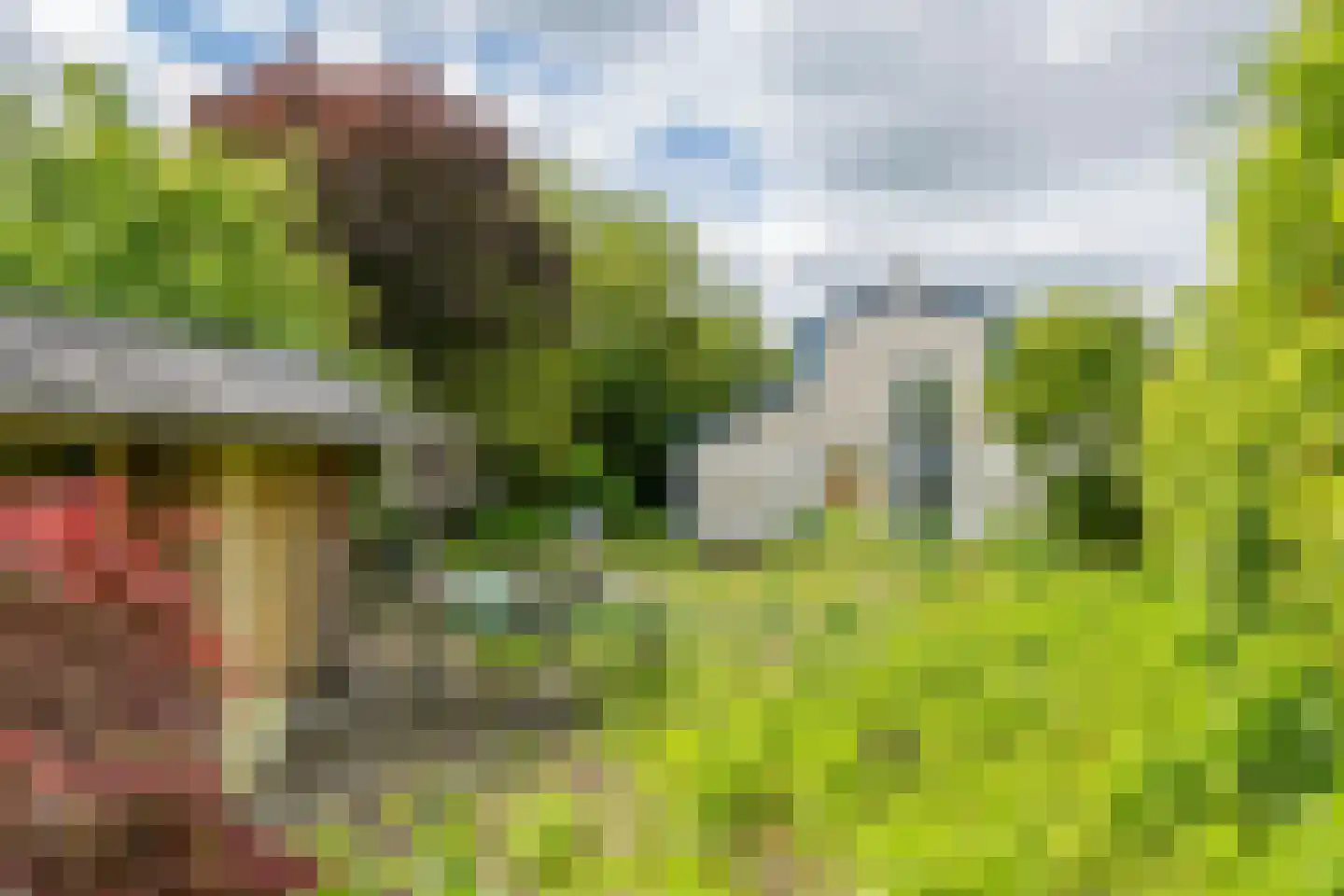 Achterstraat 19 Asch thumbnail 34