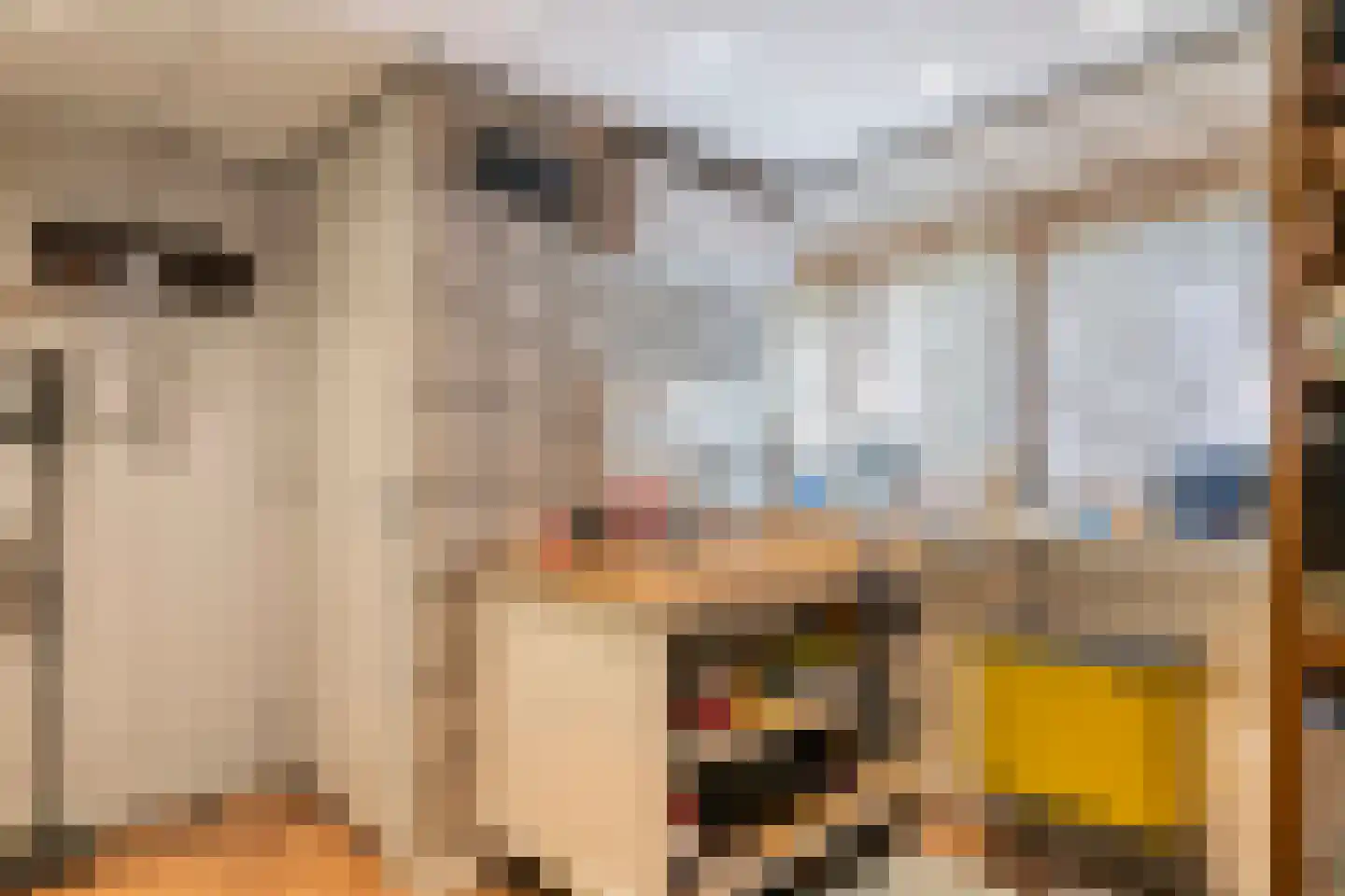 Achterstraat 19 Asch thumbnail 36