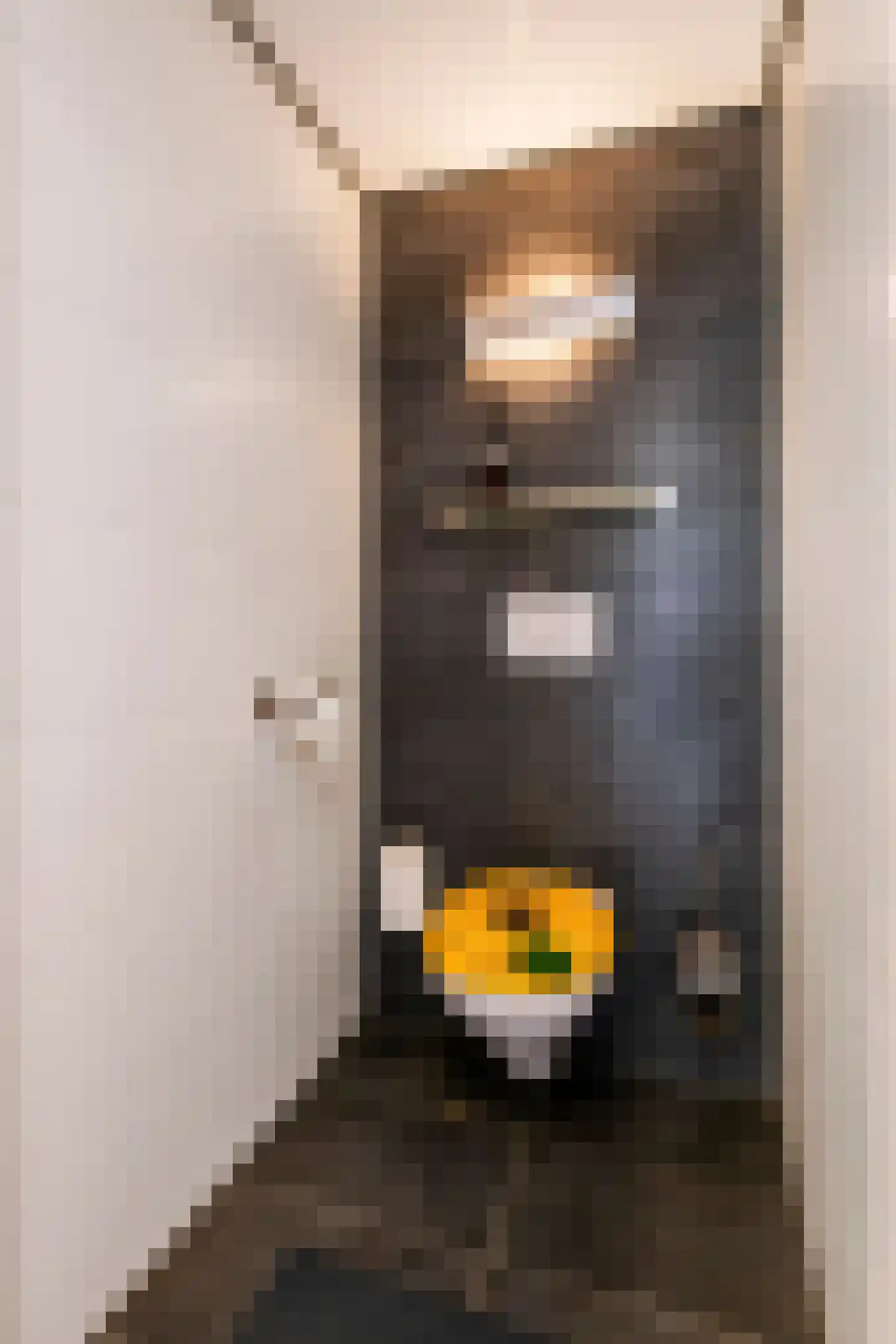 Achterstraat 19 Asch thumbnail 40