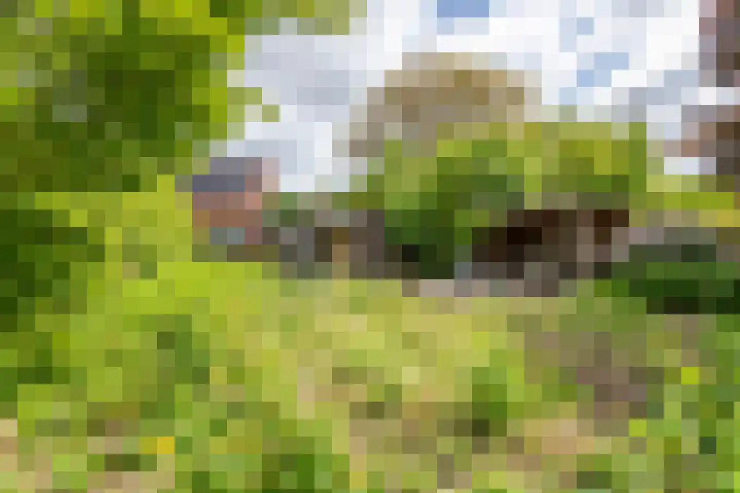 Achterstraat 19 Asch thumbnail 43