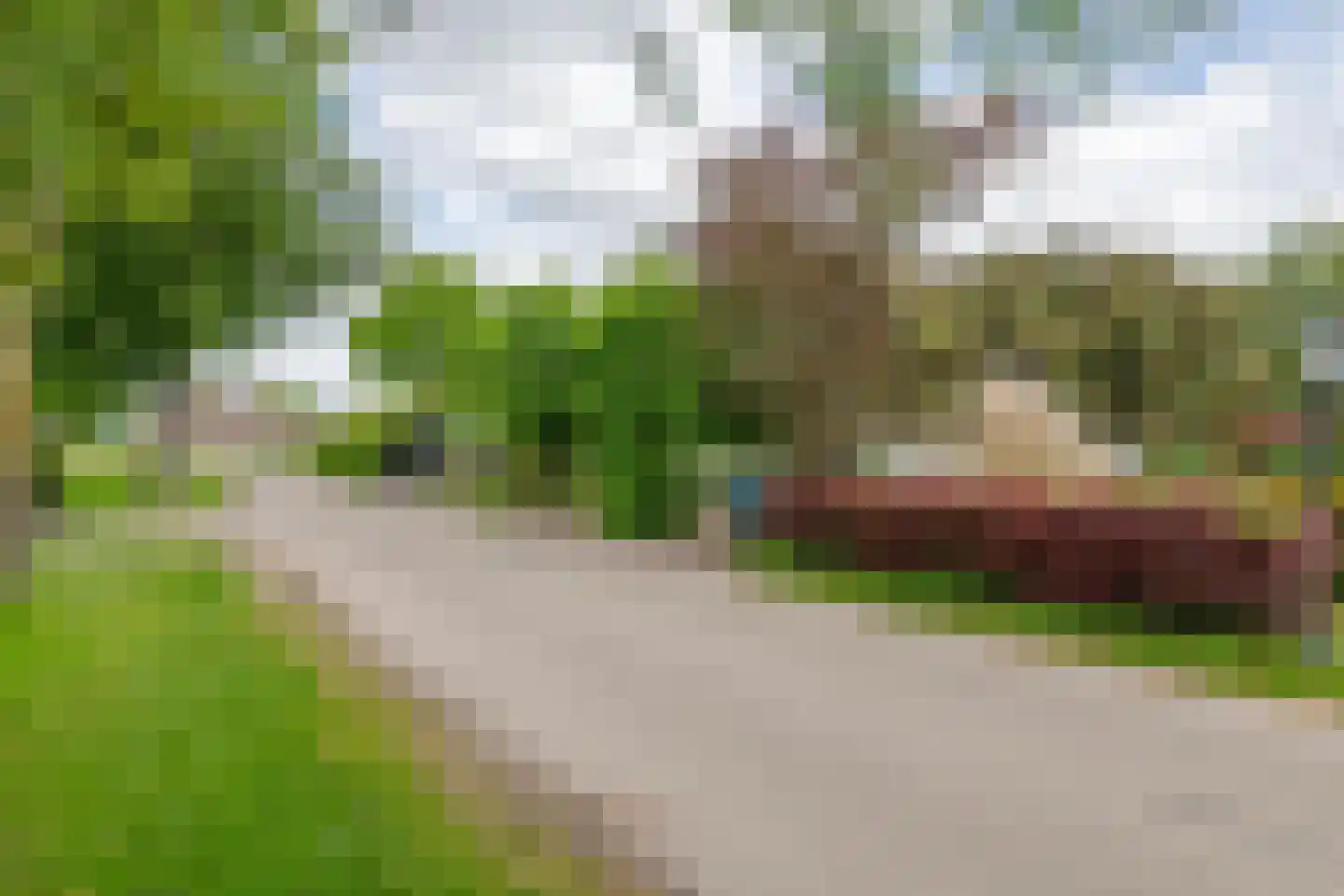 Achterstraat 19 Asch thumbnail 8