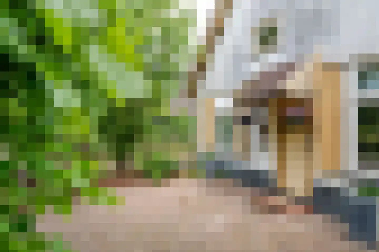 Achterstraat 19 Asch thumbnail 9