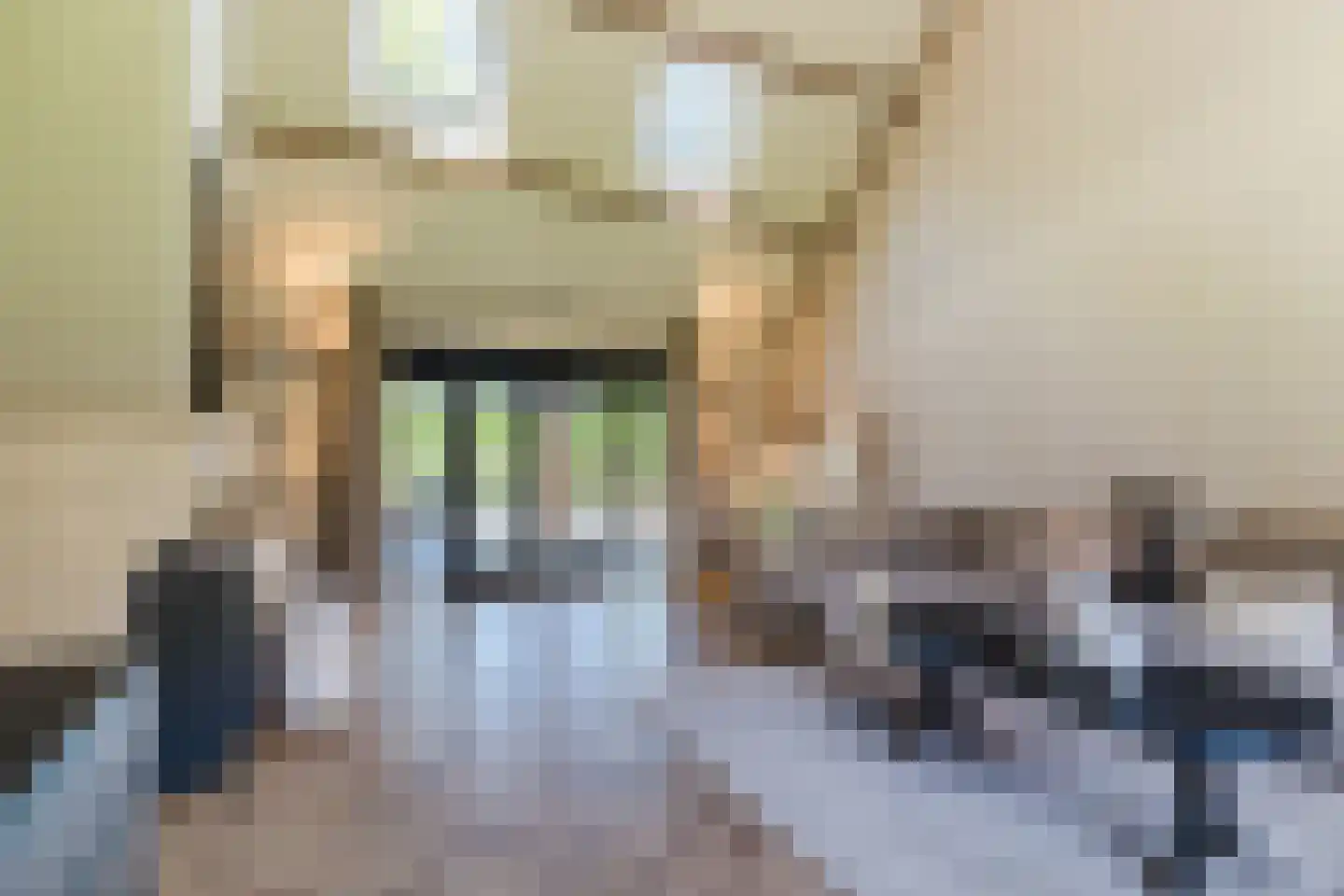 Achterstraat 19 Kerk-Avezaath thumbnail 10
