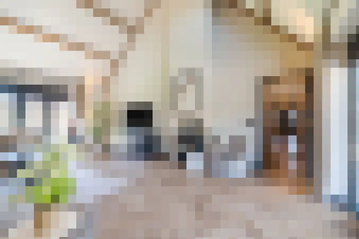 Achterstraat 19 Kerk-Avezaath thumbnail 13