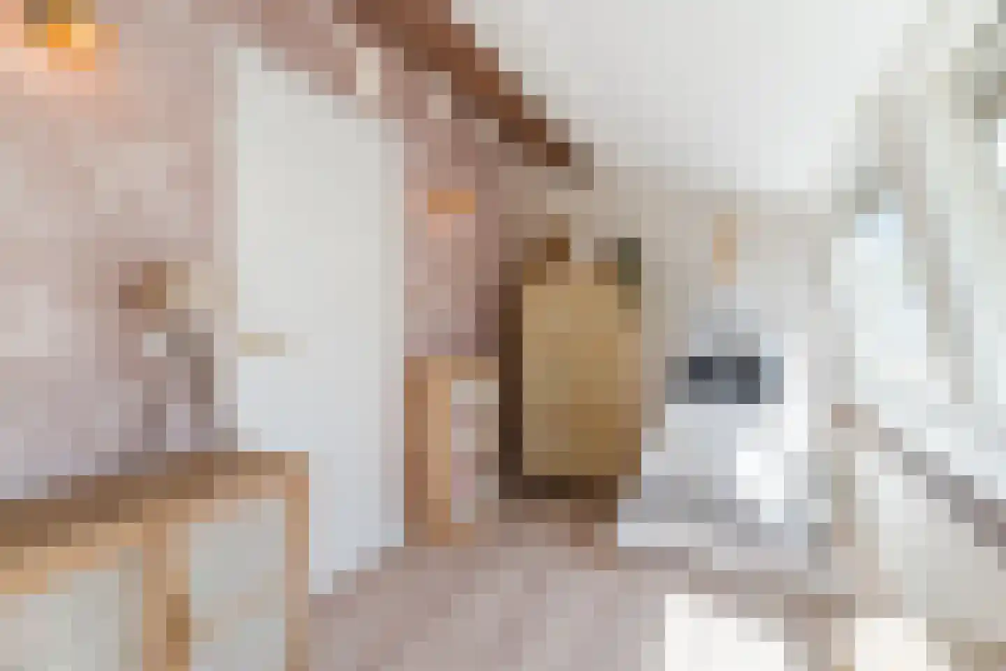 Achterstraat 19 Kerk-Avezaath thumbnail 46
