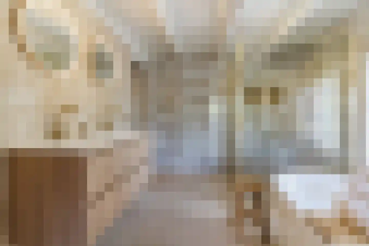 Achterstraat 19 Kerk-Avezaath thumbnail 53