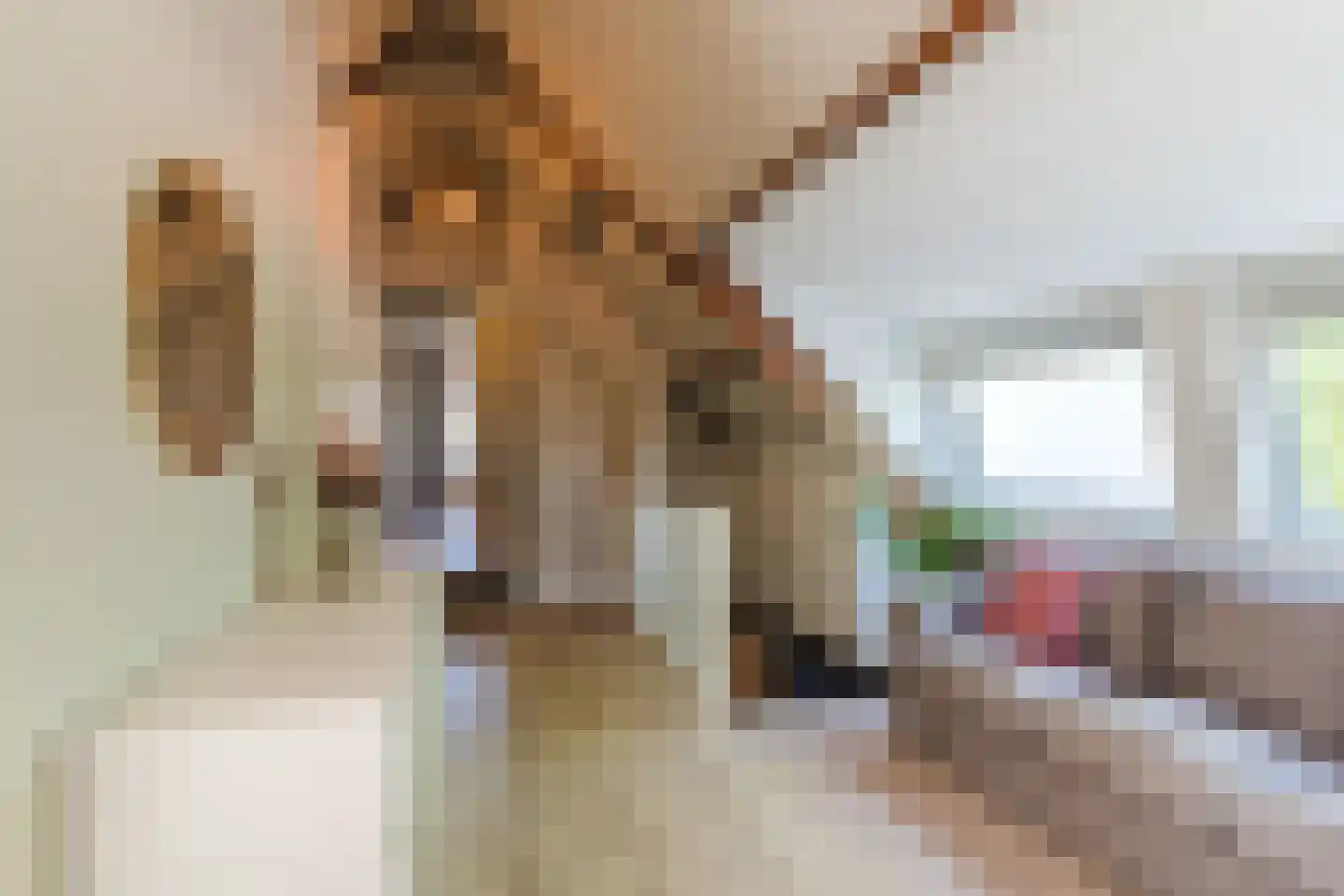 Achterstraat 19 Kerk-Avezaath thumbnail 57