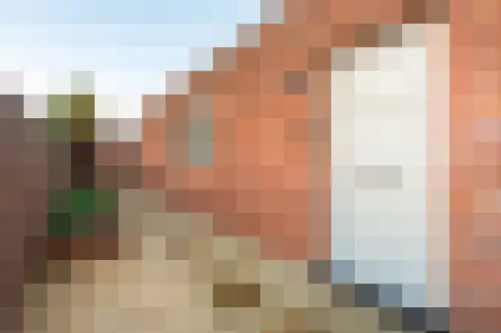 Achterstraat 19 Putte thumbnail 31