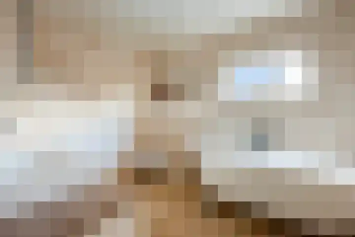 Achterstraat 19 Putte thumbnail 5