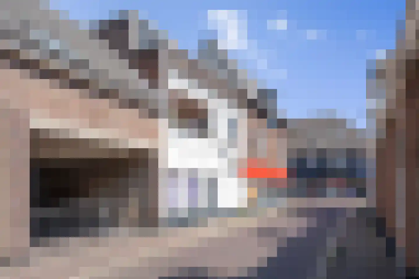 Achterstraat 2 b Wijk bij Duurstede thumbnail 36
