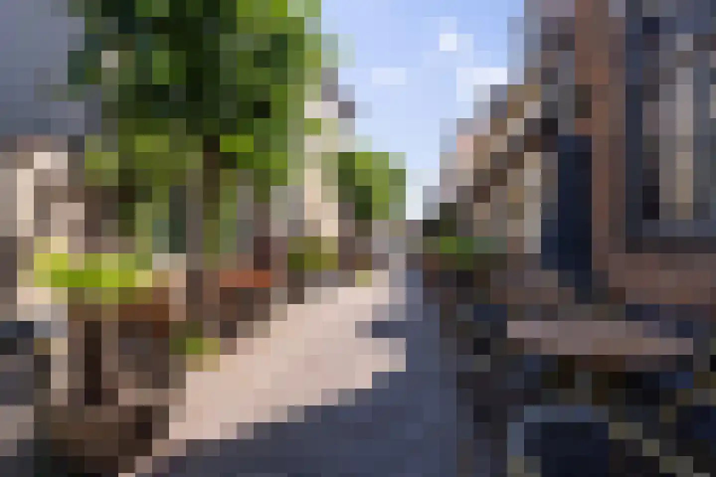 Achterstraat 2 b Wijk bij Duurstede thumbnail 39