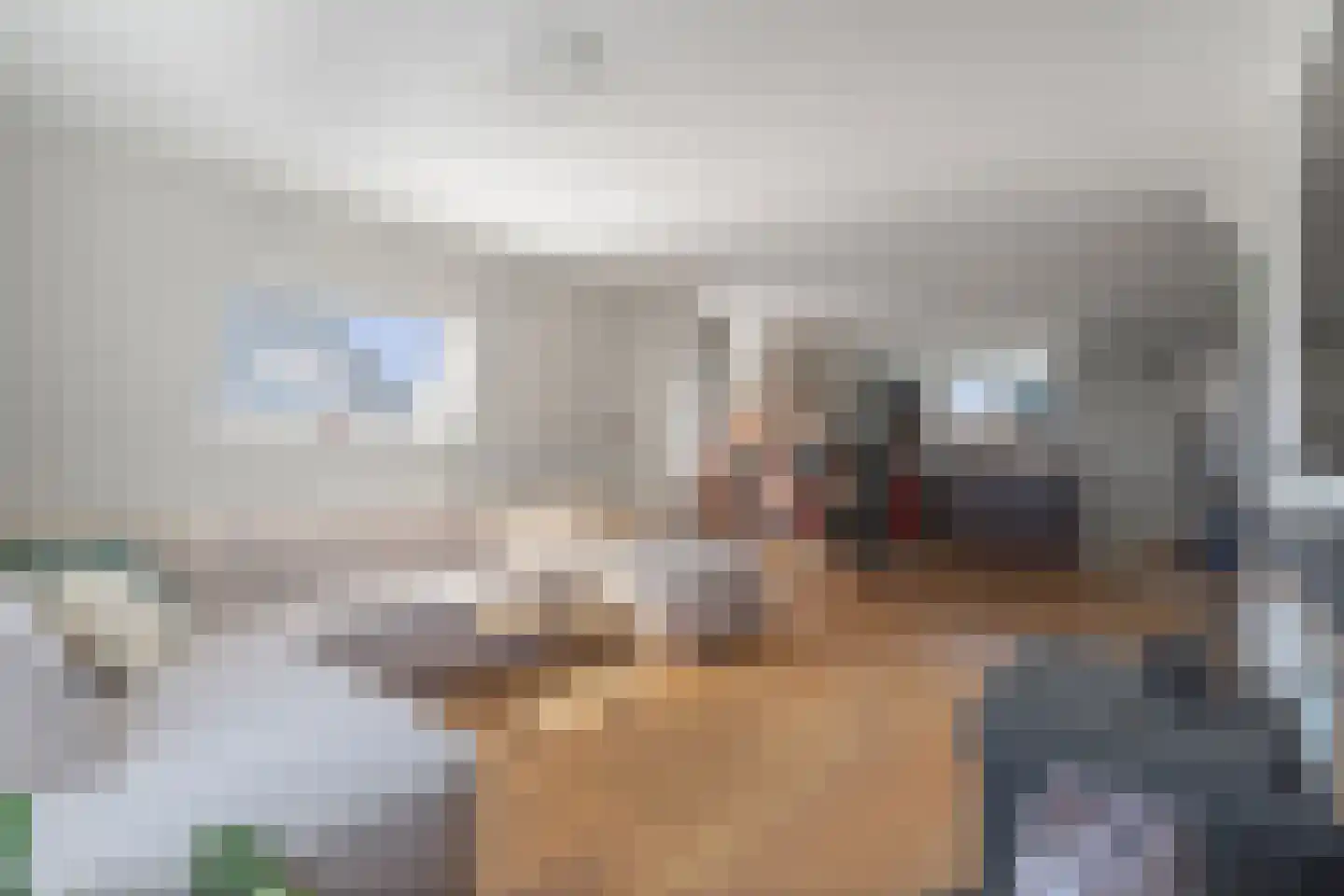 Achterstraat 2 b Wijk bij Duurstede thumbnail 6